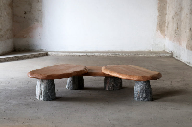 Bolete Coffee Table by Batten and Kamp & Henry D'Ath