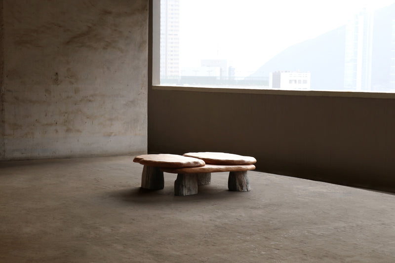 Bolete Coffee Table by Batten and Kamp & Henry D'Ath