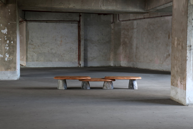 Bolete Coffee Table by Batten and Kamp & Henry D'Ath