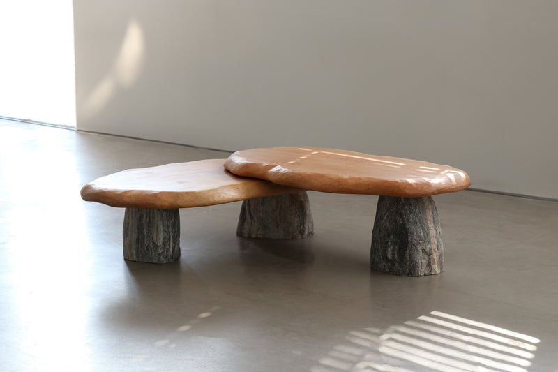 Bolete Coffee Table by Batten and Kamp & Henry D'Ath