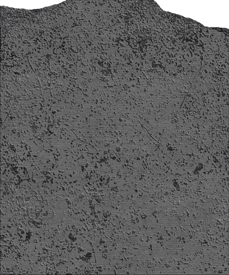 CONCRETE By Temple