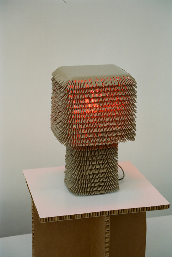 Hairy Lamp by Mark Malecki