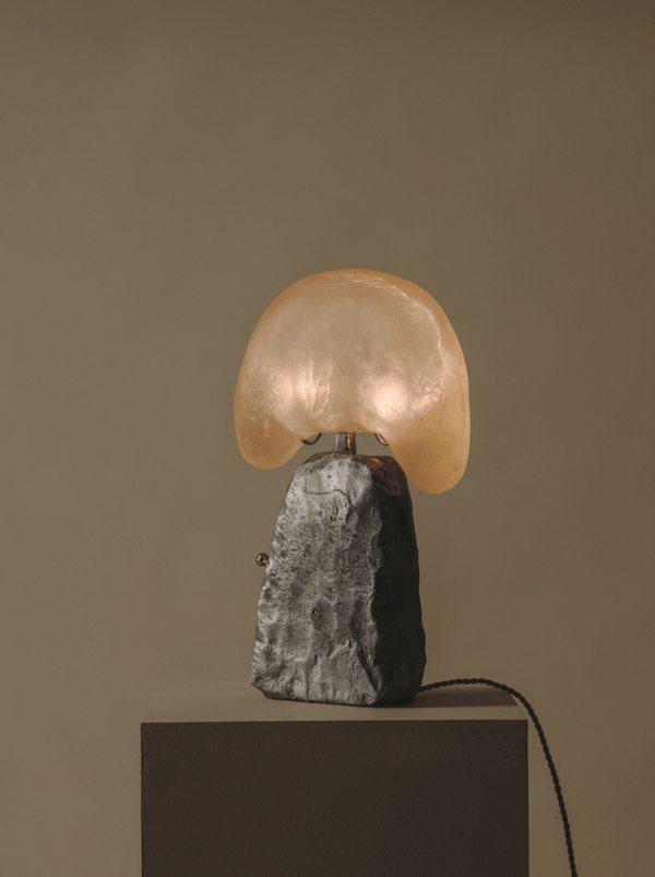 The “Cashew” Lamp by Jorge Suárez-Kilzi