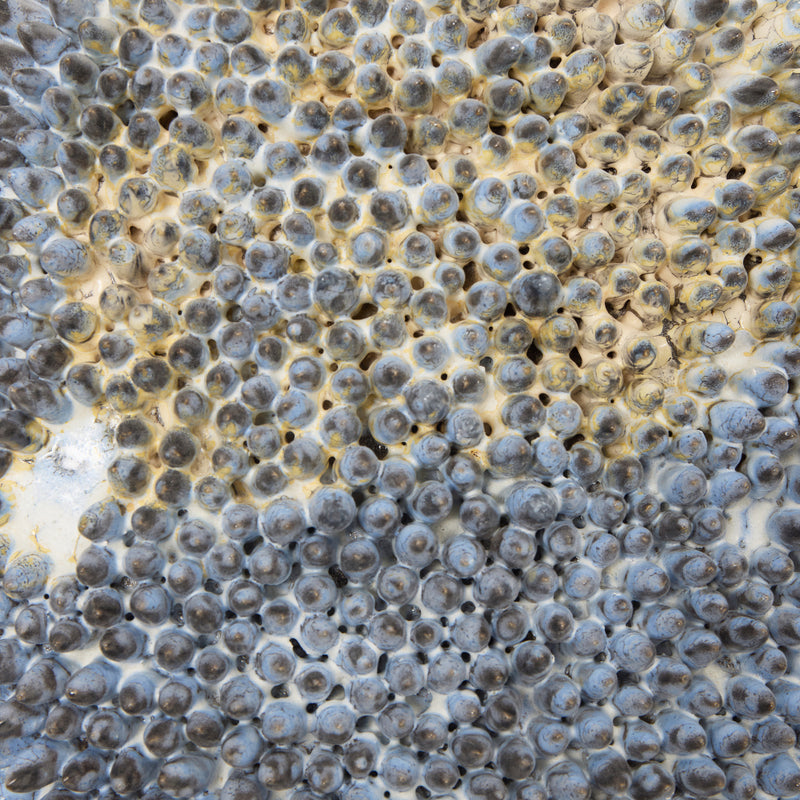 Appuntito Wall Hanging by Project 213A