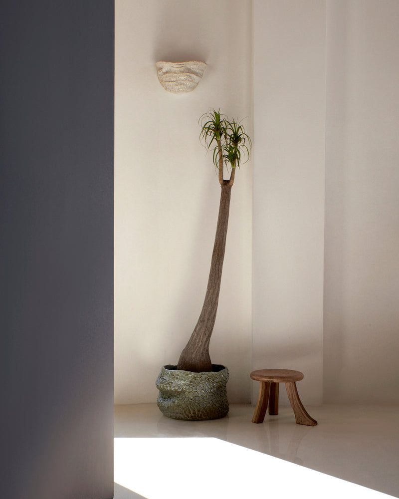 Casa Planter No1 by Project 213A