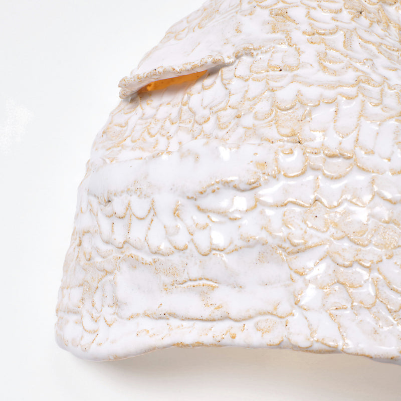 Casa Double Wall Light By Project 213A